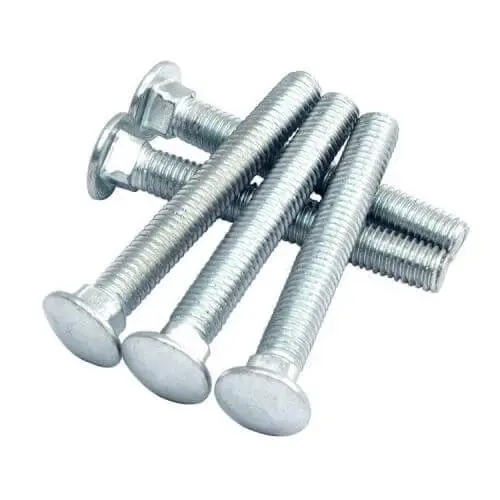 Stainless Steel Carriage Screw